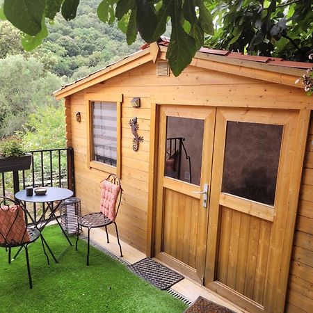 Loue Chalet De 11M2 Auribeau-sur-Siagne المظهر الخارجي الصورة